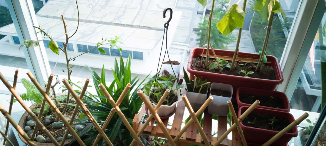 SMALL SPACE AND APARTMENT GARDENING